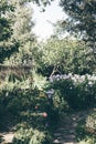 Garden path with flower landscaping Royalty Free Stock Photo