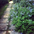 Garden path and flowers Royalty Free Stock Photo