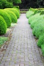 Garden path in Hatley castle