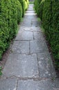 Garden Path and Hedgerow Royalty Free Stock Photo