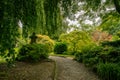 Garden path in japanese garden with japanese maples - autumn coming