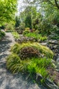 Garden Path Landscape 2 Royalty Free Stock Photo