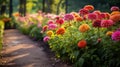 A garden path lined with colorful zinnias