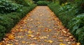 A garden path is lined with low, neatly trimmed hedges. The path is covered with small Royalty Free Stock Photo