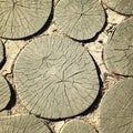 Garden path made of wooden logs. Aged photo.