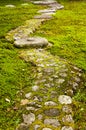 Garden path paved with big stones