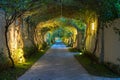Garden path in resort with warm light and trees on side at evening, Garden Decoration Royalty Free Stock Photo