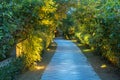 Garden path in resort with warm light and trees on side at evening, Garden Decoration Royalty Free Stock Photo