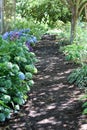 Garden Path