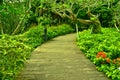 Garden Path, Singapore Botanic Gardens Royalty Free Stock Photo