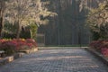 Garden Path in Tallahassee with Azaleas Royalty Free Stock Photo