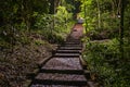 Garden path with tropical trees on both side at night with stairs, Tanzania, Africa Royalty Free Stock Photo