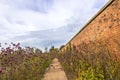 Garden path in a walled garden with pretty purple verbena plants. Royalty Free Stock Photo