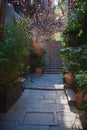 Garden pathway lights create cozy evening ambience Royalty Free Stock Photo