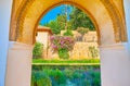 The garden in Patio of Irrigation Ditch, Generalife, Alhambra, Granada, Spain