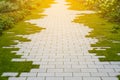 Garden pavement - cobblestone and grass on sidewalk