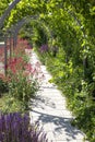 garden pavement with overhead wine three