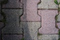 Garden pavement paved path floor slabs interlock half clean and dirty after an anti-foam cleaning