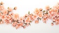 garden peach flower border Royalty Free Stock Photo