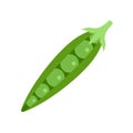 Garden peas icon flat isolated vector