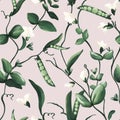 Garden sweet Peas plant Watercolor sweet pea seamless pattern , vines blooming gardening climber