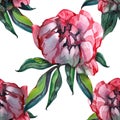 Garden peony. Seamless, hand-painted, watercolor pattern. Floral background