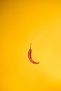 Garden red pepper isolated on yellow background