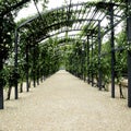 Garden pergola Royalty Free Stock Photo