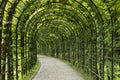 Garden pergola tunnel walkway in park. Royalty Free Stock Photo