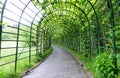 Garden pergola tunnel walkway in park. Royalty Free Stock Photo