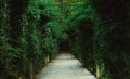 Garden pergola tunnel walkway in park Royalty Free Stock Photo