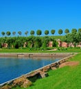 Garden of Peterhof Royalty Free Stock Photo