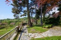 Garden with pine trees and stone tiled path in a sunny day, Italy