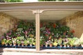 Garden plant pots Royalty Free Stock Photo