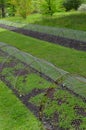 Garden plant protection frame.