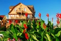 A garden is planted in front of historic Victorian homes