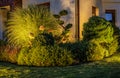 Garden Plants Illuminated by Outdoor LED Lighting Royalty Free Stock Photo