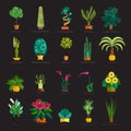 Garden plants, Potted flowers in the garden vector illustration