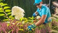 Garden Plants Pruning Performed by Caucasian Garden Worker