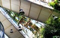 Garden plants wind twist glass windows in a greenhouse. Conservatory orangery building