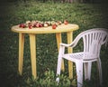 Garden plastic furniture Royalty Free Stock Photo