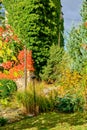 Garden Plot in Autumn