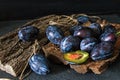 Garden plums on the table. Autumn harvest. Blue plums. Fresh plums on a wooden surface. Fresh plums on a wooden table background. Royalty Free Stock Photo