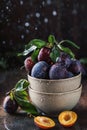 Garden plums on table. Close up of fresh plums with leaves. Autumn harvest of plums. Royalty Free Stock Photo