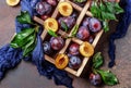 Garden plums on table. Close up of fresh plums with leaves. Autumn harvest of plums. Royalty Free Stock Photo