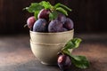 Garden plums on table. Close up of fresh plums with leaves. Autumn harvest of plums. Royalty Free Stock Photo