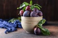 Garden plums on table. Close up of fresh plums with leaves. Autumn harvest of plums. Royalty Free Stock Photo