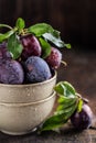 Garden plums on table. Close up of fresh plums with leaves. Autumn harvest of plums. Royalty Free Stock Photo