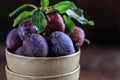 Garden plums on table. Close up of fresh plums with leaves. Autumn harvest of plums. Royalty Free Stock Photo