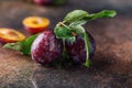 Garden plums on table. Close up of fresh plums with leaves. Autumn harvest of plums. Royalty Free Stock Photo